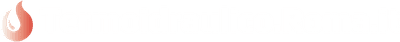 Logo termoidraulico chiaro